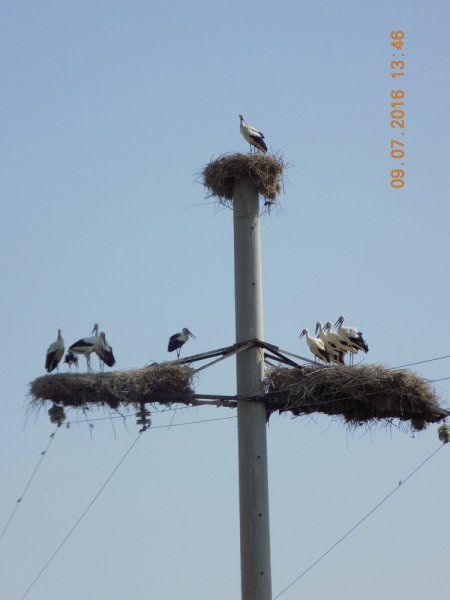 Автопробег по Средней Азии.  Россия - Казахстан – Узбекистан – Таджикистан