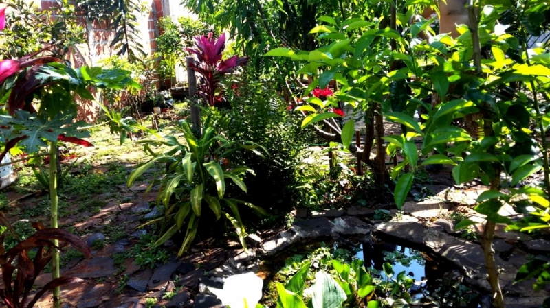 Жизнь семьи в аргентинской Месопотамии.