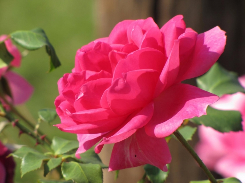 Жизнь семьи в аргентинской Месопотамии.