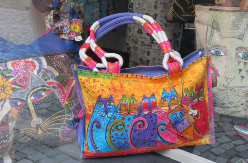 Поговорим о кошках41