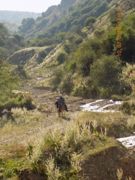 Автопробег по Средней Азии.  Россия - Казахстан – Узбекистан – Таджикистан