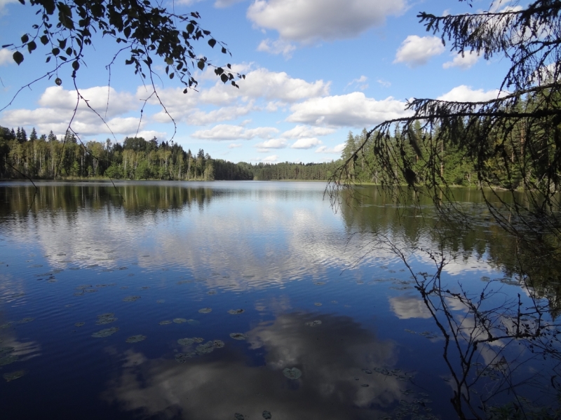 7 дней в Питере и не только (автопутешествие)
