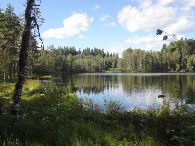 7 дней в Питере и не только (автопутешествие)