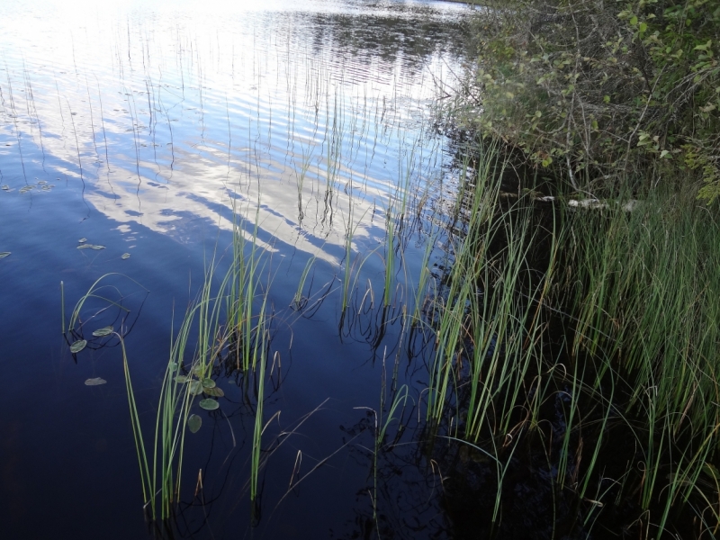 7 дней в Питере и не только (автопутешествие)