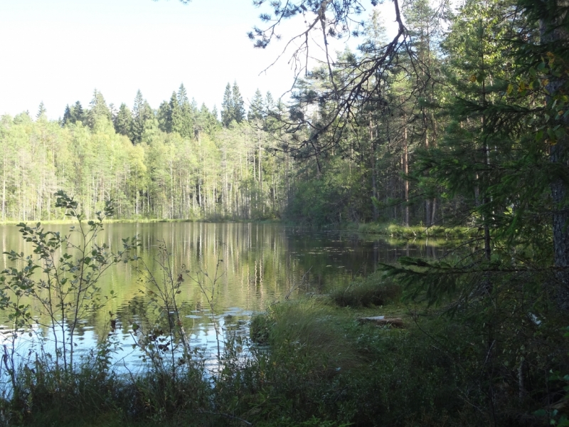 7 дней в Питере и не только (автопутешествие)