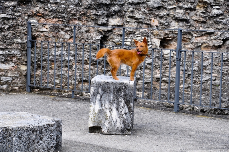Grotte Di Catullo