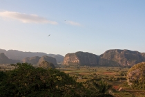 О воплощении мечты в реальность. Как это было...(+фото)