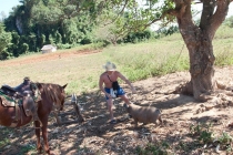 О воплощении мечты в реальность. Как это было...(+фото)