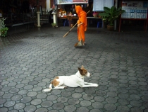 Чиангмай - Сукхотай - Аюттая - Ча-Ам, август 2011