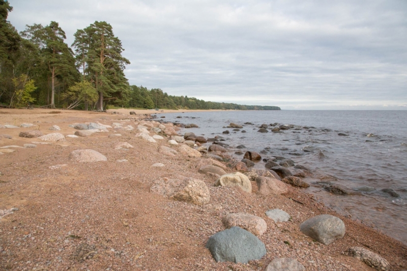 В Питере жить
