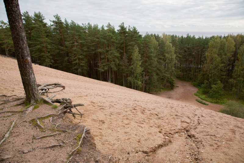 В Питере жить