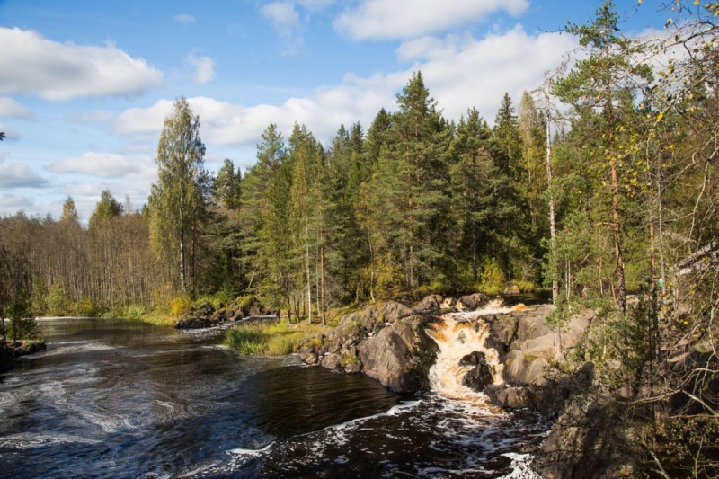 В Питере жить