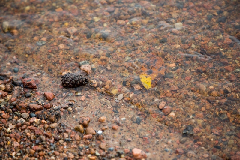В Питере жить