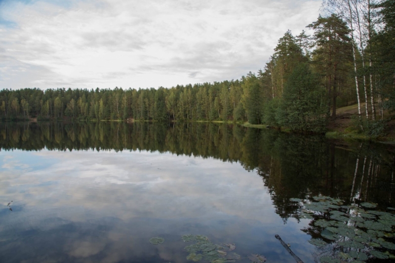 В Питере жить