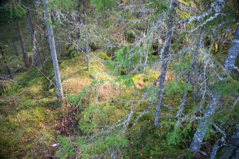 В Питере жить