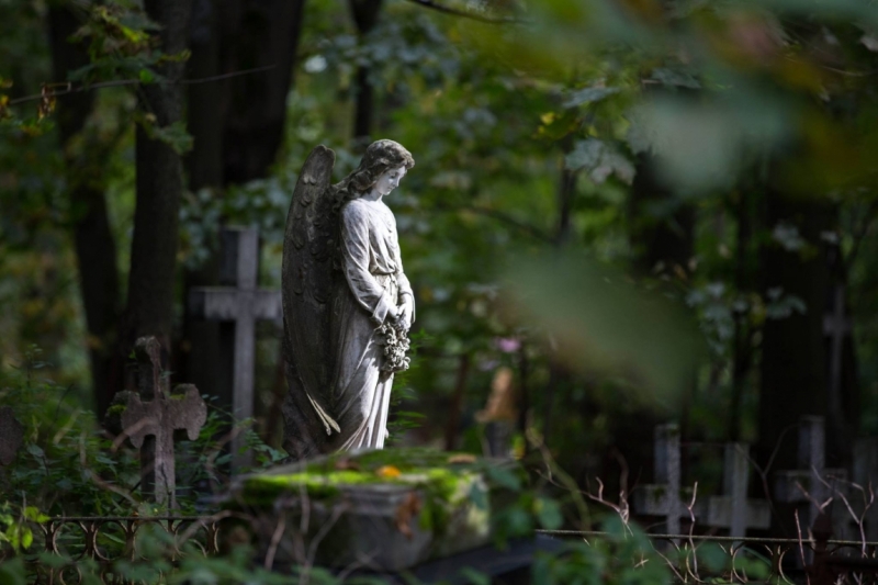 В Питере жить