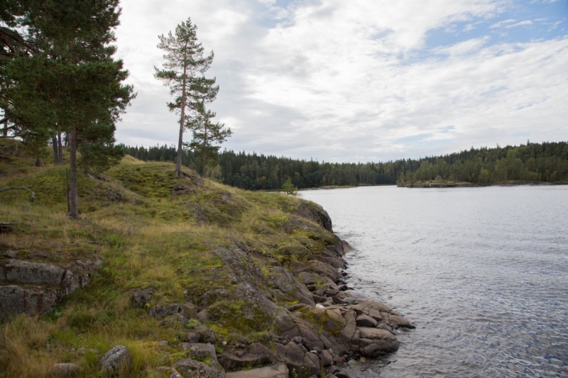В Питере жить