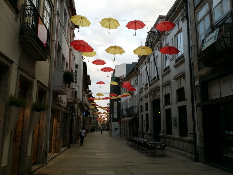 Camino de Santiago. Португальский путь - 3 в 1.