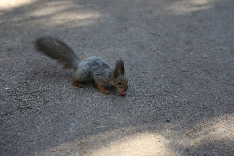 В Питере жить