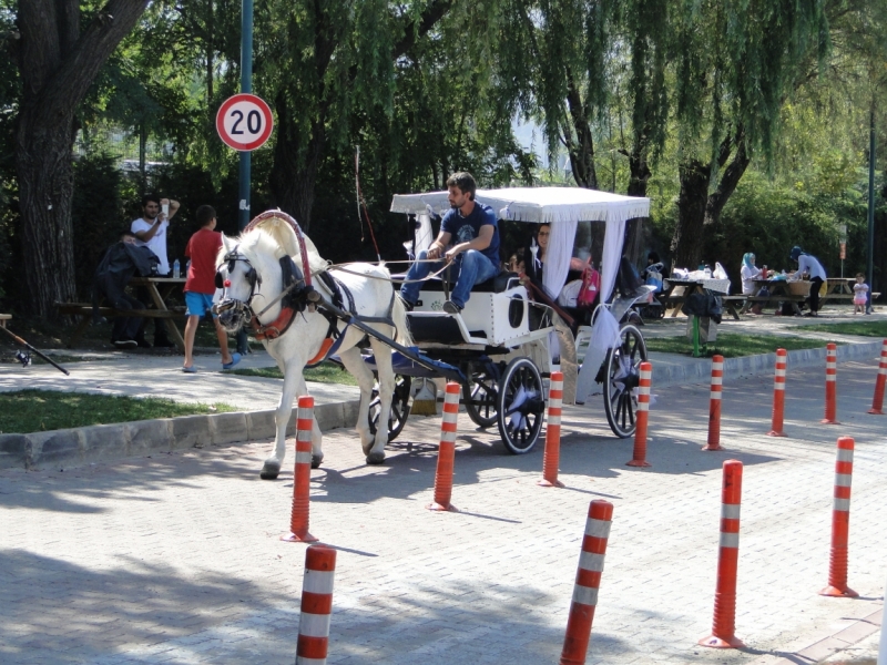 Озеро Sapanca поездка на выходные