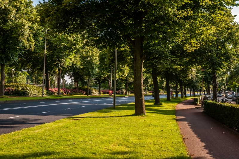 Амстердам, который впечатлил