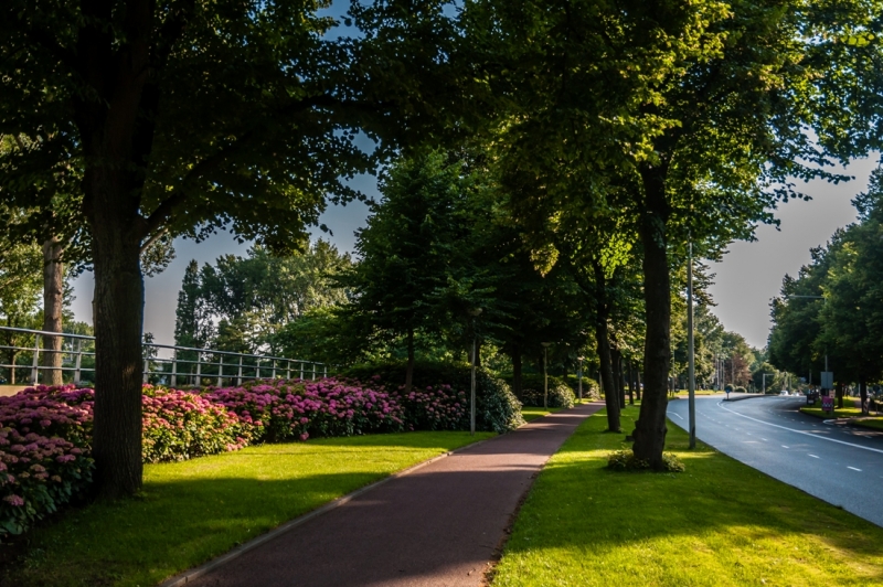 Амстердам, который впечатлил