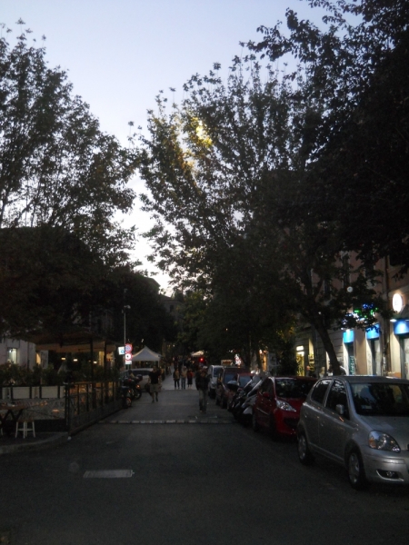 La mia vita. Римские записки, дневник онлайн