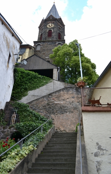 Германия винная - Мозель. Саксония-Анхальт. Лишь один день без дождя.  Июнь 2016.