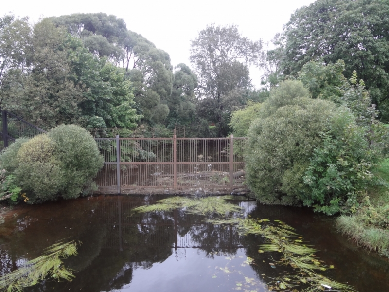 7 дней в Питере и не только (автопутешествие)