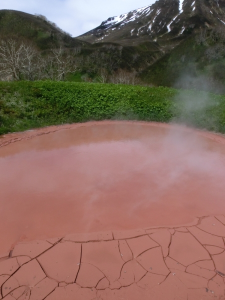 Это сладкое слово, это странное место - Камчатка