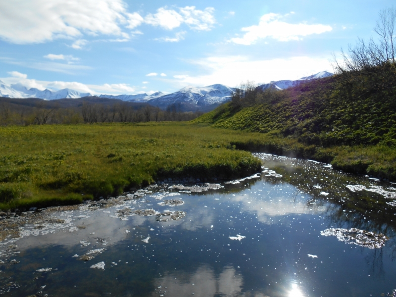 Это сладкое слово, это странное место - Камчатка