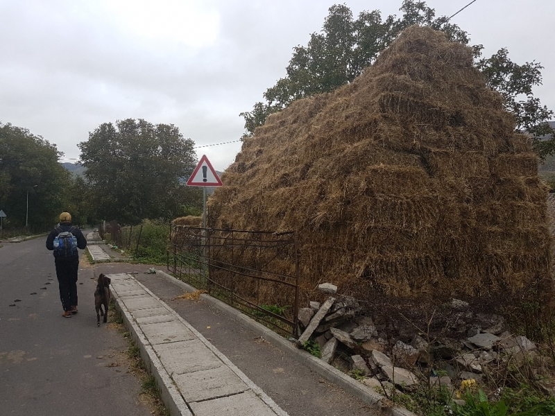 Первое знакомство с Грузией, сентябрь 2016 (Тбилиси–Степанцминда–Боржоми–Вардзиа-Кутаиси)