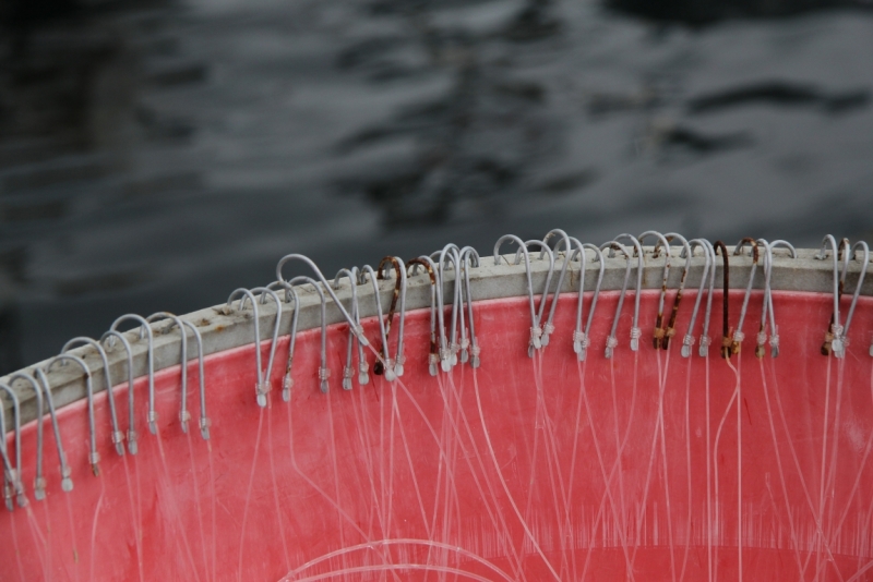 Корфу в сентябре: отдых компанией (по существу и с фото)