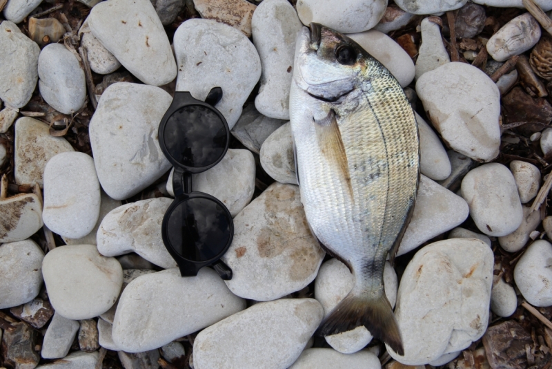 Корфу в сентябре: отдых компанией (по существу и с фото)