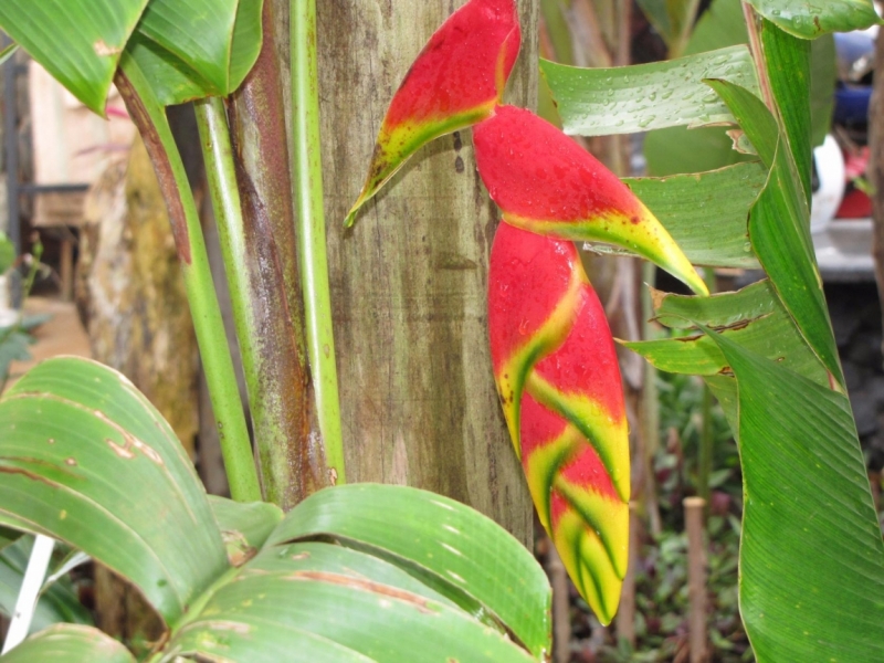 Жизнь семьи в аргентинской Месопотамии.