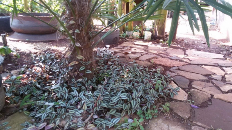 Жизнь семьи в аргентинской Месопотамии.