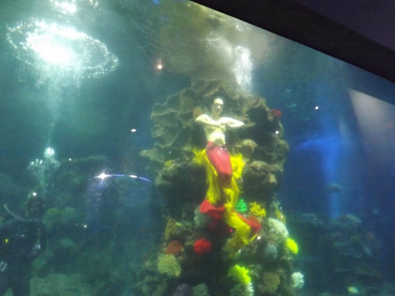 Нячанг: не в сердце, но в памяти