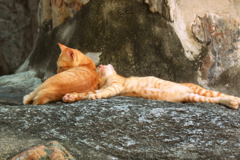 Первый раз самостоятельно в ЮВА: Бангкок, Сиемреап, Самуи