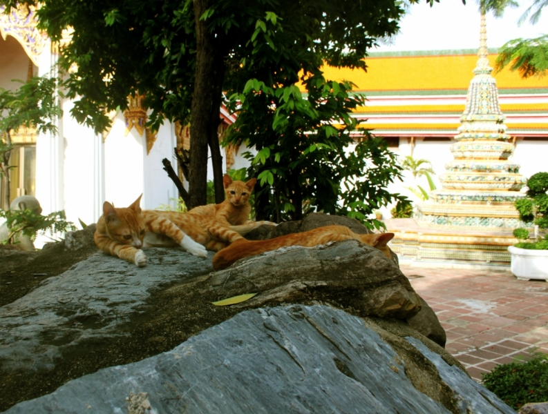 Первый раз самостоятельно в ЮВА: Бангкок, Сиемреап, Самуи