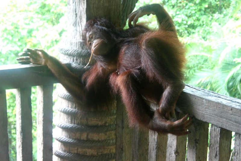 Первый раз самостоятельно в ЮВА: Бангкок, Сиемреап, Самуи