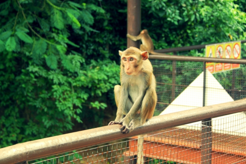 Первый раз самостоятельно в ЮВА: Бангкок, Сиемреап, Самуи