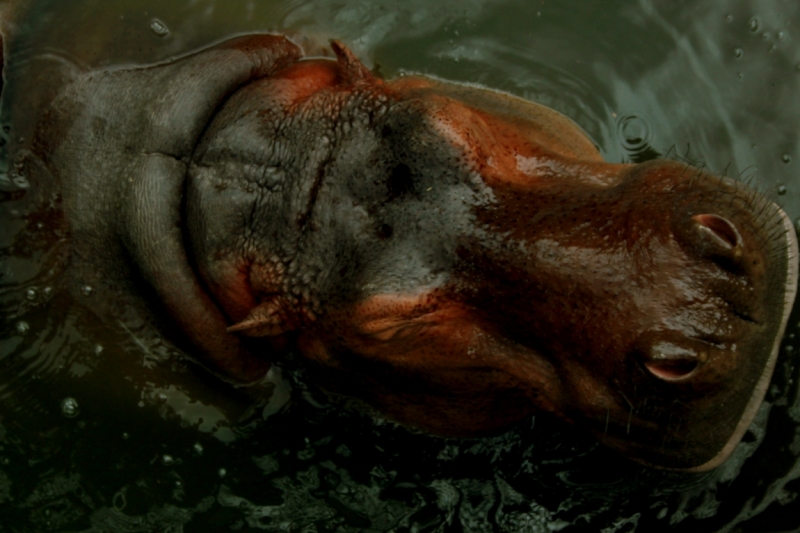 Первый раз самостоятельно в ЮВА: Бангкок, Сиемреап, Самуи