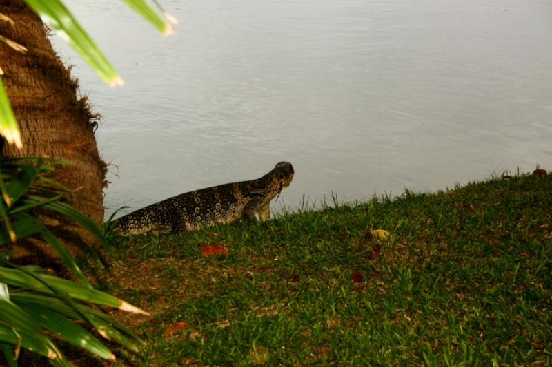 Первый раз самостоятельно в ЮВА: Бангкок, Сиемреап, Самуи