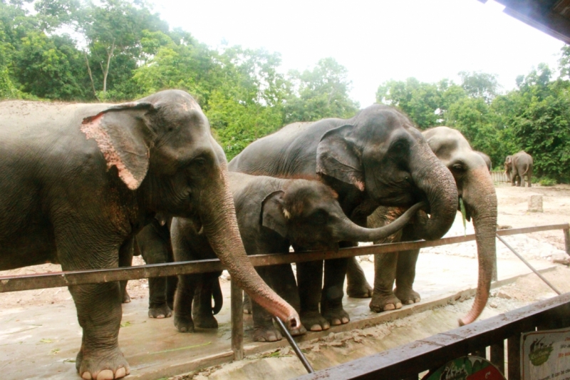 Первый раз самостоятельно в ЮВА: Бангкок, Сиемреап, Самуи