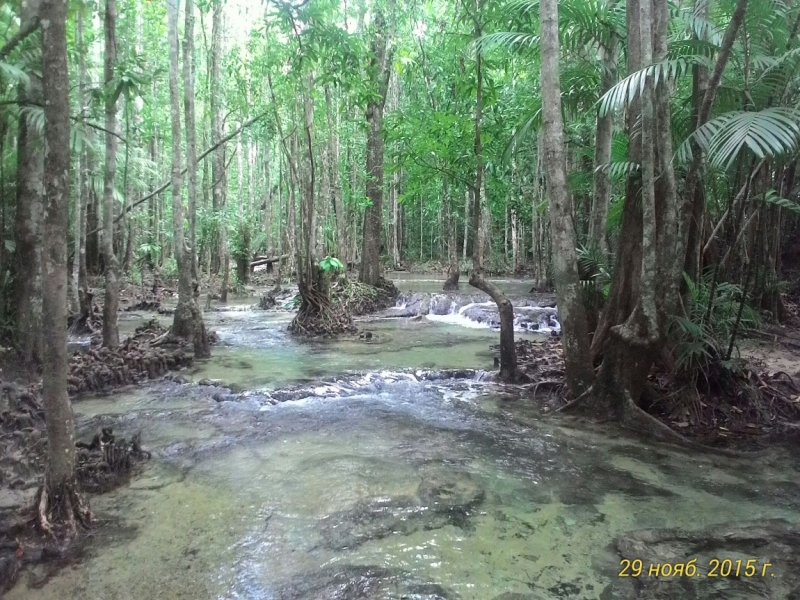 В Крыму-блекаут,у нас-Тай. Или удачно запланированное путешествие 2015(Пхукет,Пи-Пи,Краби)