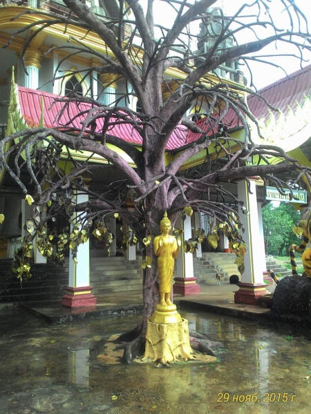 В Крыму-блекаут,у нас-Тай. Или удачно запланированное путешествие 2015(Пхукет,Пи-Пи,Краби)