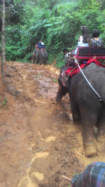 В Крыму-блекаут,у нас-Тай. Или удачно запланированное путешествие 2015(Пхукет,Пи-Пи,Краби)