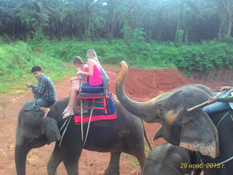 В Крыму-блекаут,у нас-Тай. Или удачно запланированное путешествие 2015(Пхукет,Пи-Пи,Краби)