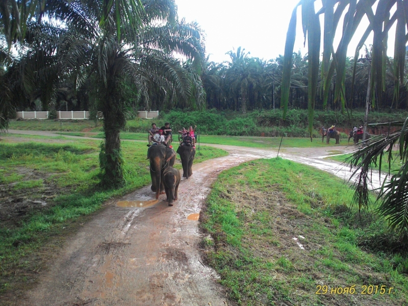 В Крыму-блекаут,у нас-Тай. Или удачно запланированное путешествие 2015(Пхукет,Пи-Пи,Краби)