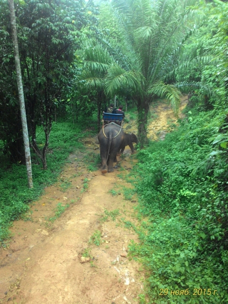 В Крыму-блекаут,у нас-Тай. Или удачно запланированное путешествие 2015(Пхукет,Пи-Пи,Краби)